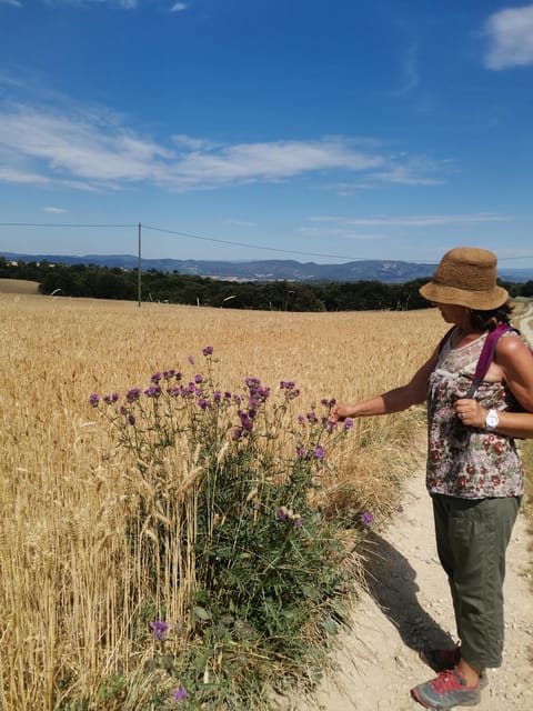 Valensole : Visit of a Winery and Lavender Farm - Getting to the Farm