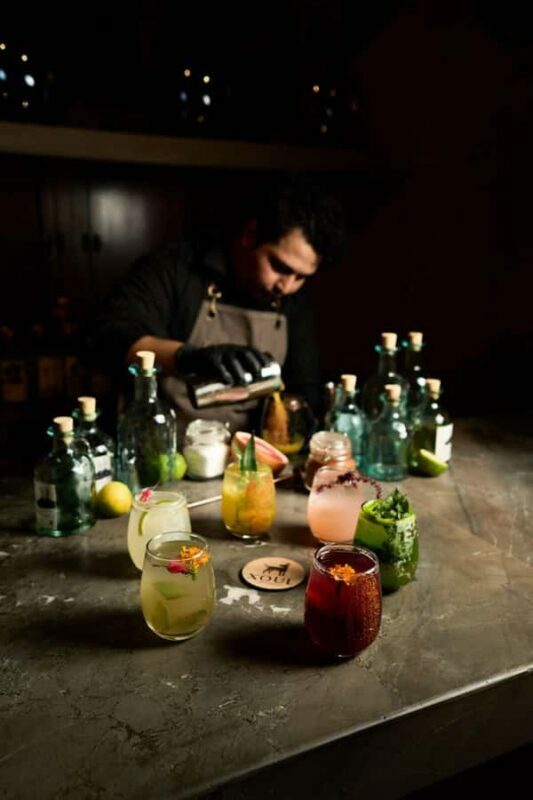 Valladolid: Exclusive 5 Mezcal Tasting Experience - Key Points
