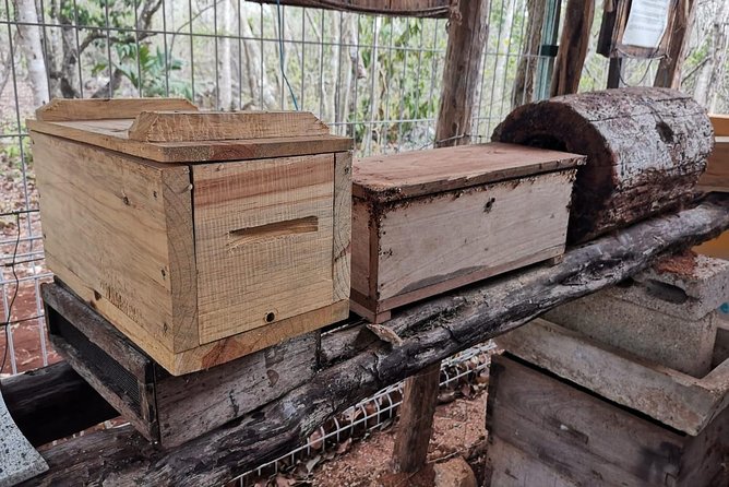 Valladolid Mayan Bees Tour With Lunch or Breakfast and Honey Tasting - Transportation and Meeting Point