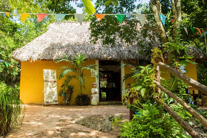 Valladolid Mayan Bees Tour With Lunch or Breakfast and Honey Tasting - Traveler Suitability and Fitness