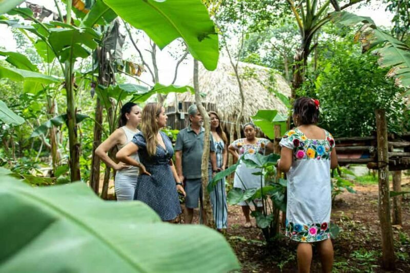 Valladolid: Mayan Cooking Class with 5 Dishes - Final Thoughts: Is It Worth It?