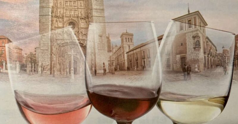 Valladolid: Private Guided Tour With Tapas and Wine Tasting - Key Historical Sites