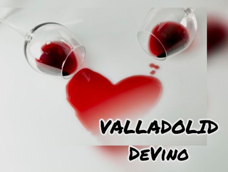 Valladolid: Private Guided Tour With Tapas and Wine Tasting - Tapas and Wine Tasting