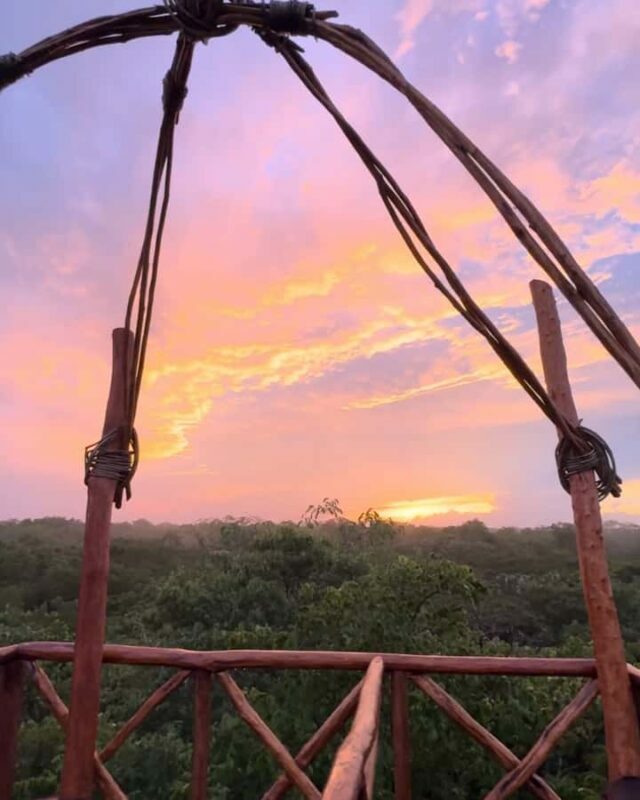 Valladolid: Sunset jungle viewpoint and cenote swim - Who Will Enjoy This Experience?