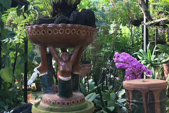 Vallarta Botanical Garden Tour With Universityeducated Naturalist - Meeting Point and Schedule Details
