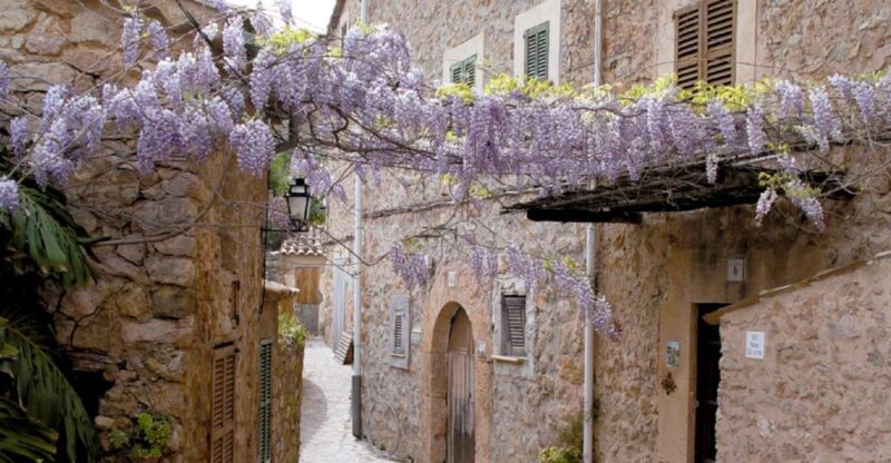 Valldemossa: Discover Valldemossa With a Transfer From Palma - Tour Description