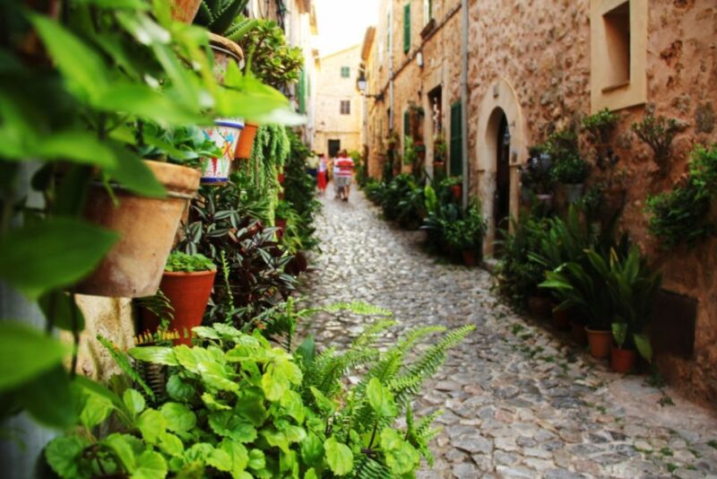 Valldemossa: Discover Valldemossa With a Transfer From Palma - Participant Information