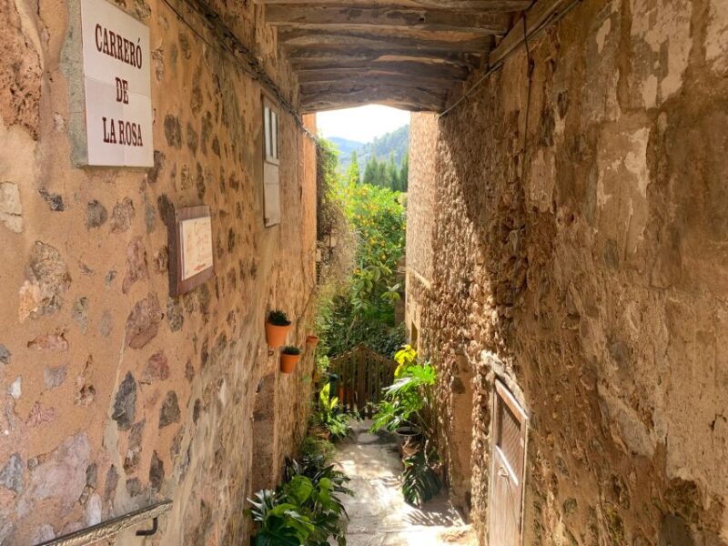 Valldemossa: Town and the Most Beautiful Viewpoints - Booking and Reservations