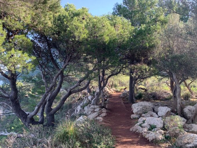 Valldemossa: Town and the Most Beautiful Viewpoints - Cruise Port and Hotel Pickup
