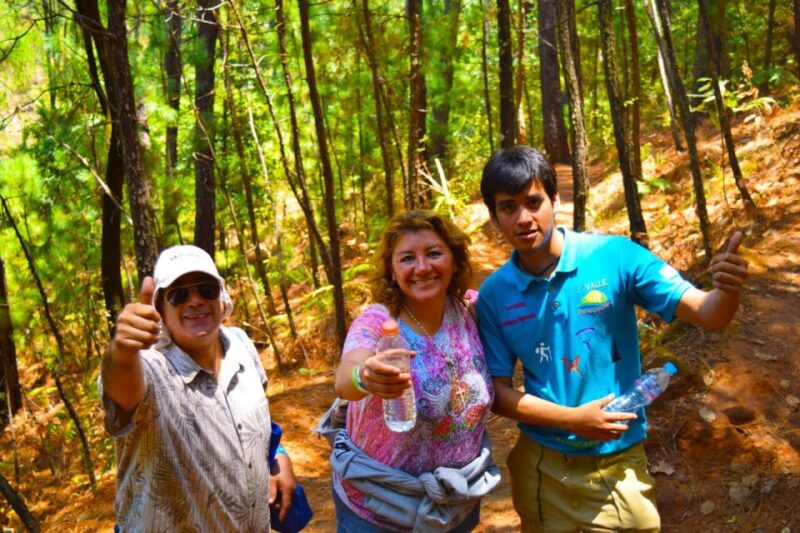 Valle De Bravo: Forest Hiking Adventure - Key Points