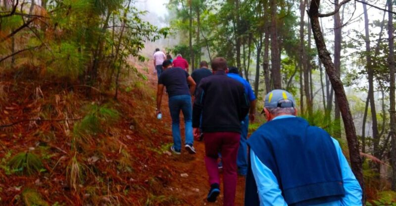 Valle De Bravo: Forest Hiking Adventure - Tour Details and Inclusions