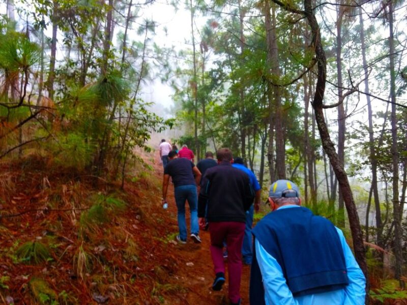 Valle De Bravo: Forest Hiking Adventure - Participant Requirements