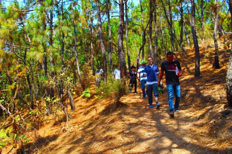Valle De Bravo: Forest Hiking Adventure - Packing and Prohibited Items
