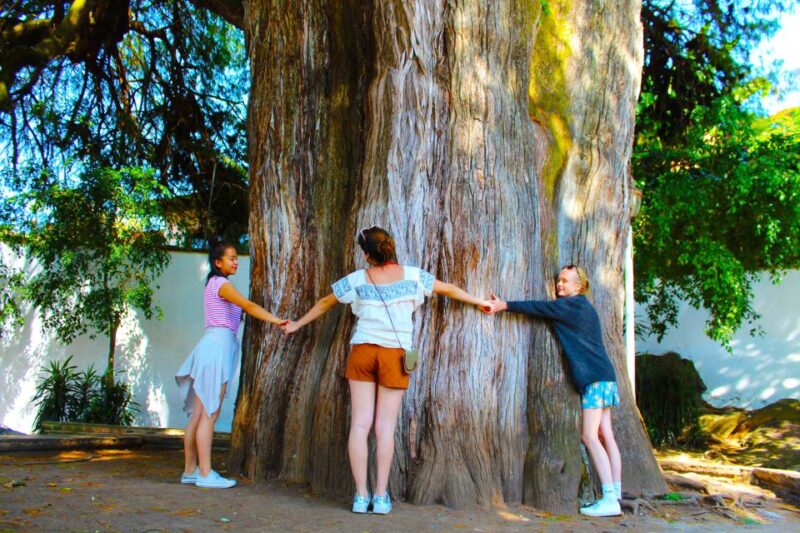 Valle De Bravo: Half-Day Guided City Tour by Van - Key Points