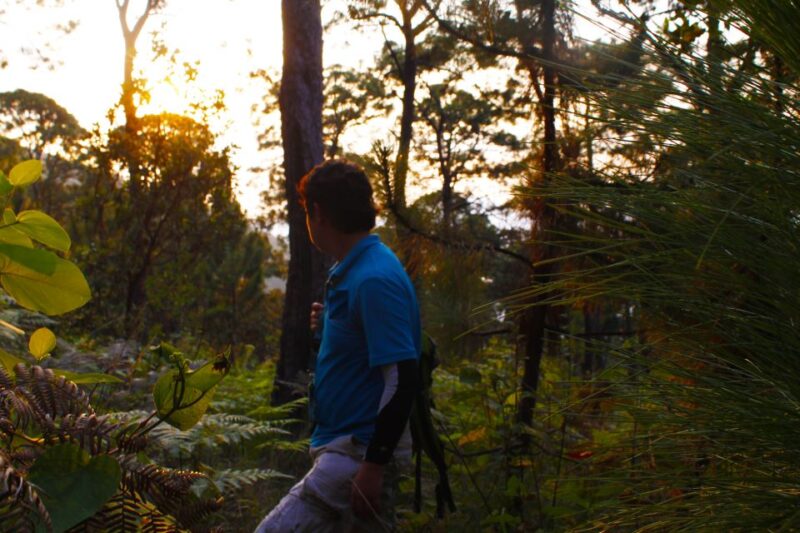 Valle De Bravo: Magical Night in the Forest - Key Points