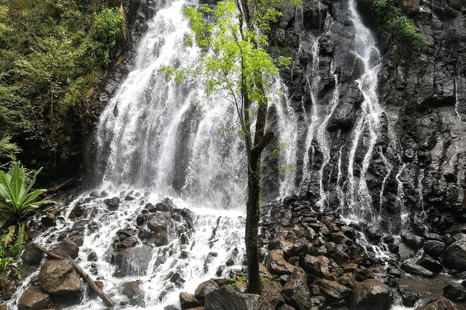 Valle De Bravo: Private & Small Group Tour From Mexico City - Participant Information