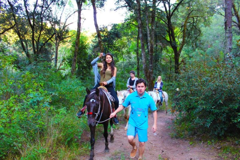 Valle De Bravo: Waterfall Riding Tour - Key Points