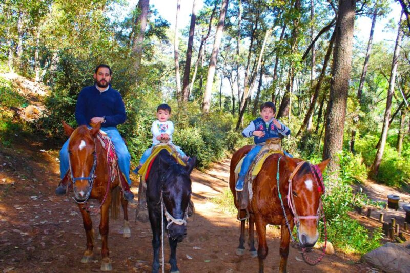 Valle De Bravo: Waterfall Riding Tour - Frequently Asked Questions