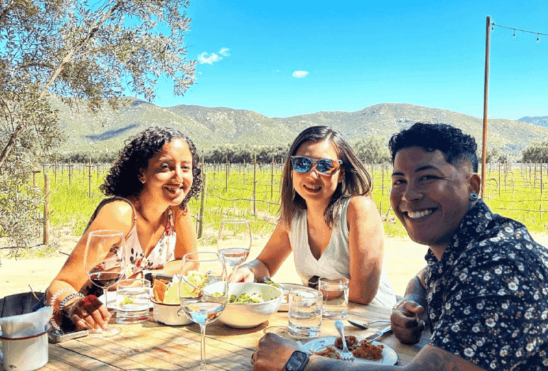 Valle De Guadalupe: All-Inclusive Wine Tour - Experience Highlights