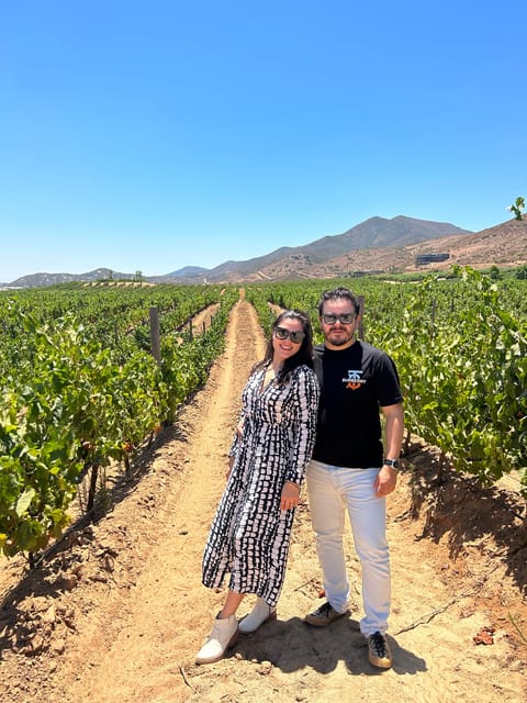 Valle De Guadalupe: All-Inclusive Wine Tour - Tour Description