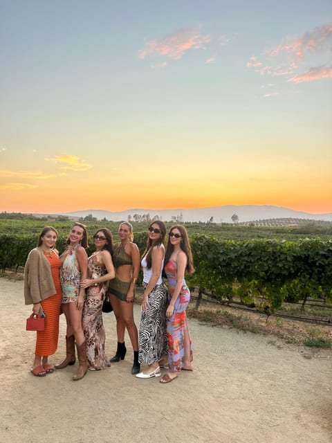 Valle De Guadalupe: All-Inclusive Wine Tour - Boutique Winery Visits and Tastings
