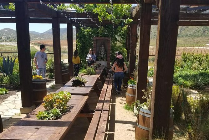 Valle De Guadalupe COUPLES Wine Tasting for 2 - Review Highlights