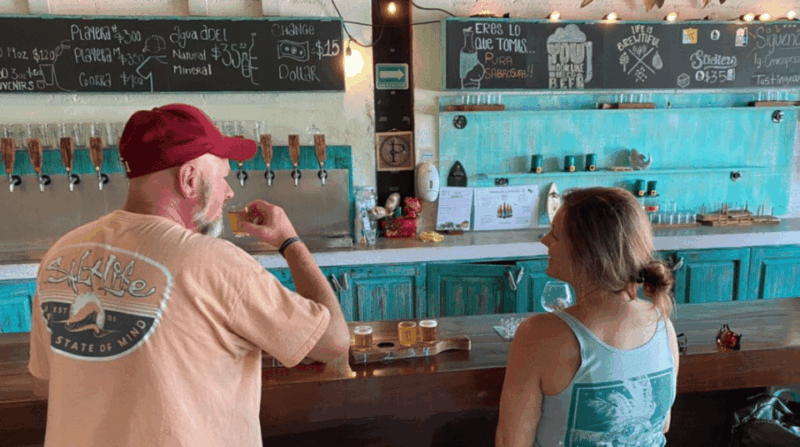 Valle De Guadalupe: Craft Beer Tour - Scenic Journey