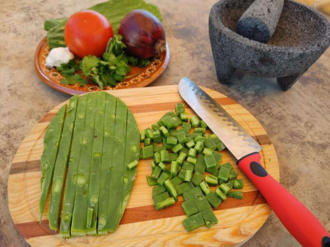 Valle De Guadalupe: Mexican Cooking at Hacienda Eco-Domes - Age and Physical Requirements