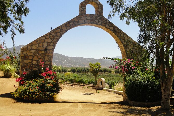 Valle De Guadalupe Private Driver and Vehicle 10 Hours - Tour End Point