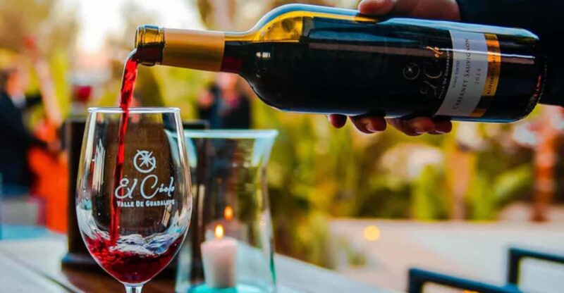 Valle De Guadalupe: the Cielo Wine Terrace Tasting Experience - Booking Details