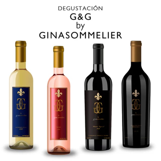 Valle De Guadalupe: the Cielo Wine Terrace Tasting Experience - Wine Pairing Recommendations