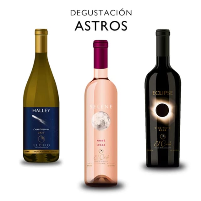 Valle De Guadalupe: the Cielo Wine Terrace Tasting Experience - Frequently Asked Questions
