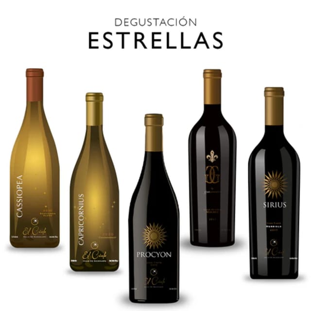 Valle De Guadalupe: The Cielo Winery Experience With Tastings - Vineyard and Grapevine Tour