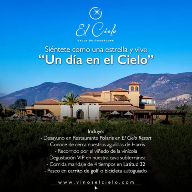 Valle De Guadalupe: The Cielo Winery Experience With Tastings - Booking and Important Notes