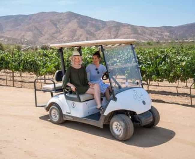 Valle De Guadalupe: Vineyard Golf Cart Tour & Wine Tasting - Key Points
