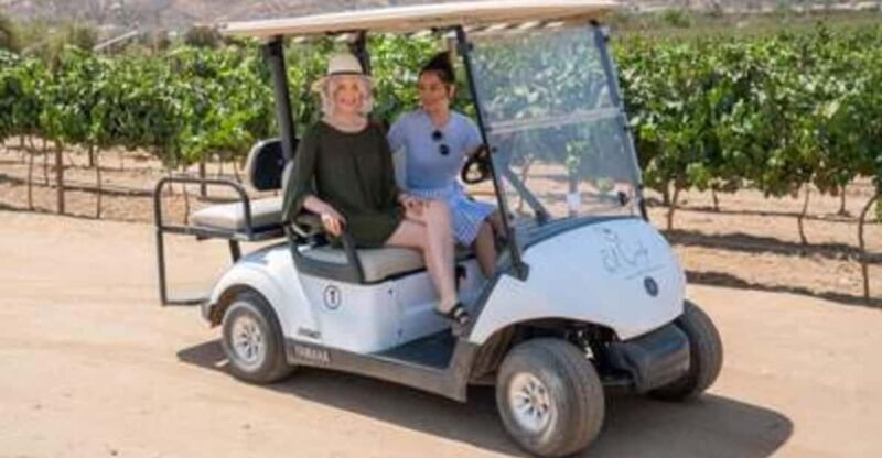 Valle De Guadalupe: Vineyard Golf Cart Tour & Wine Tasting - Tour Setting and Atmosphere