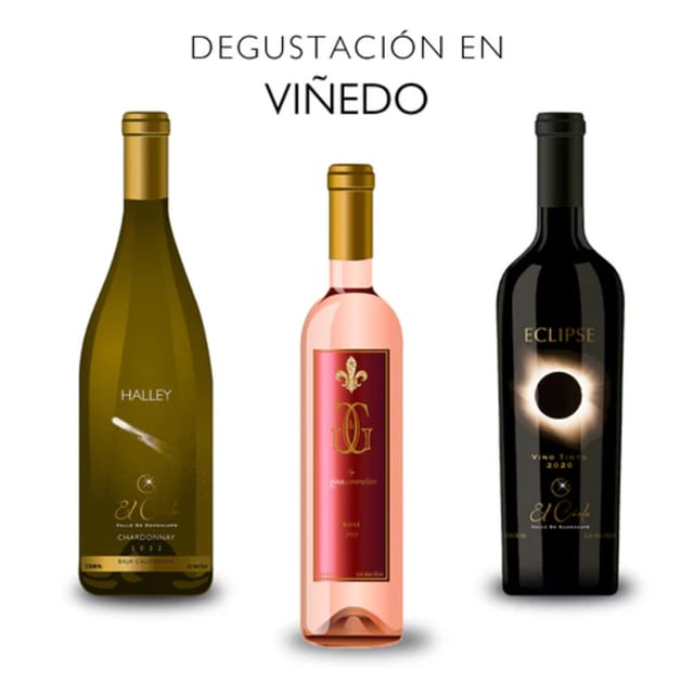 Valle De Guadalupe: Vineyard Golf Cart Tour & Wine Tasting - Important Guidelines