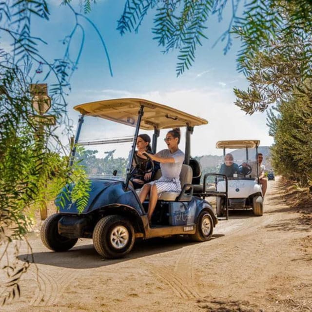 Valle De Guadalupe: Vineyard Golf Cart Tour & Wine Tasting - Activity Details