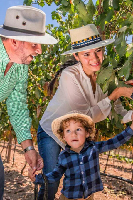 Valle De Guadalupe: Vineyard Golf Cart Tour & Wine Tasting - Winery Information