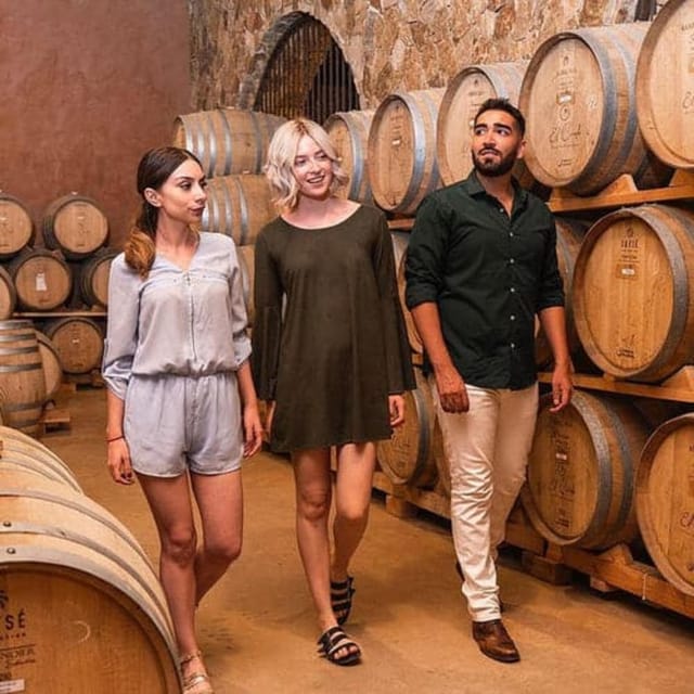 Valle De Guadalupe: Vineyard Tour and Wine Tasting in Cart - Wine Tasting