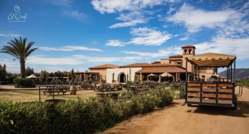 Valle De Guadalupe: Vineyard Tour and Wine Tasting in Cart - Highlights and Benefits