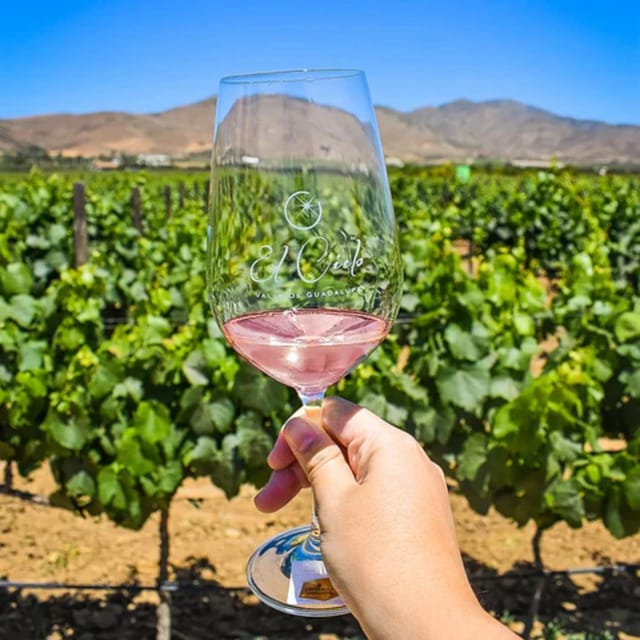 Valle De Guadalupe: Vineyard Tour and Wine Tasting in Cart - Important Information