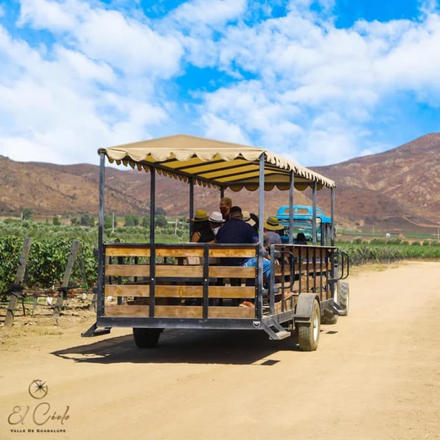 Valle De Guadalupe: Vineyard Tour and Wine Tasting in Cart - Booking and Reservation