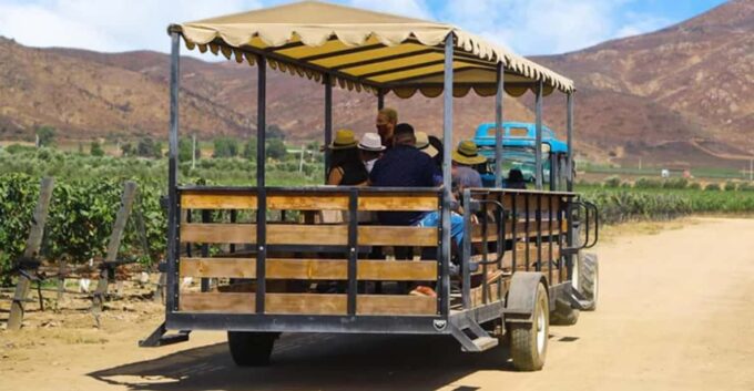 Valle De Guadalupe: Vineyard Tour and Wine Tasting in Cart - Frequently Asked Questions