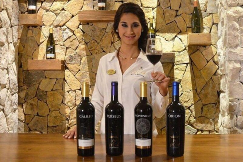 Valle De Guadalupe: Wine Tasting and Carriage Tour - Key Points