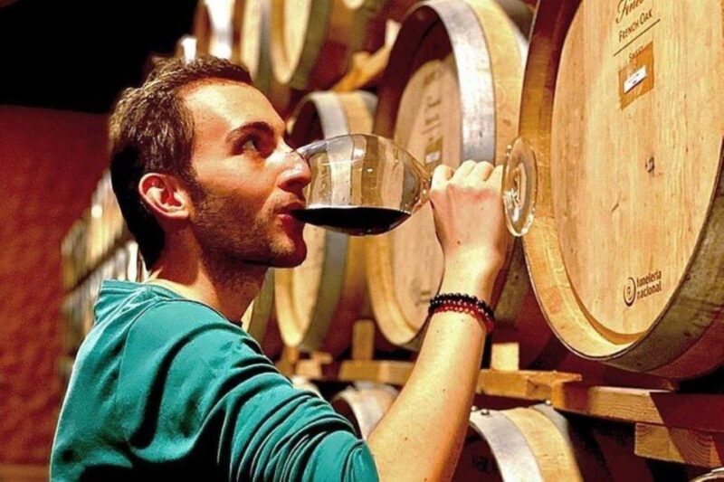 Valle De Guadalupe: Wine Tasting and Carriage Tour - Experience Highlights