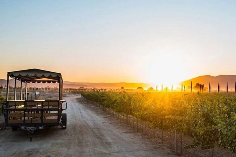 Valle De Guadalupe: Wine Tasting and Carriage Tour - Winery Features