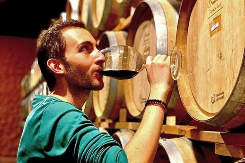 Valle de Guadalupe: Wine Tasting and Wagon Tour - Key Points