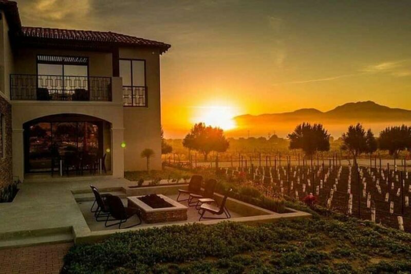Valle de Guadalupe: Wine Tasting and Wagon Tour - The Value of the Experience