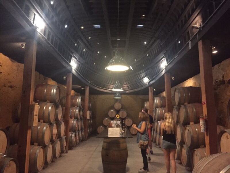 Valle De Guadalupe Wine Tasting Tour - Itinerary and Experiences